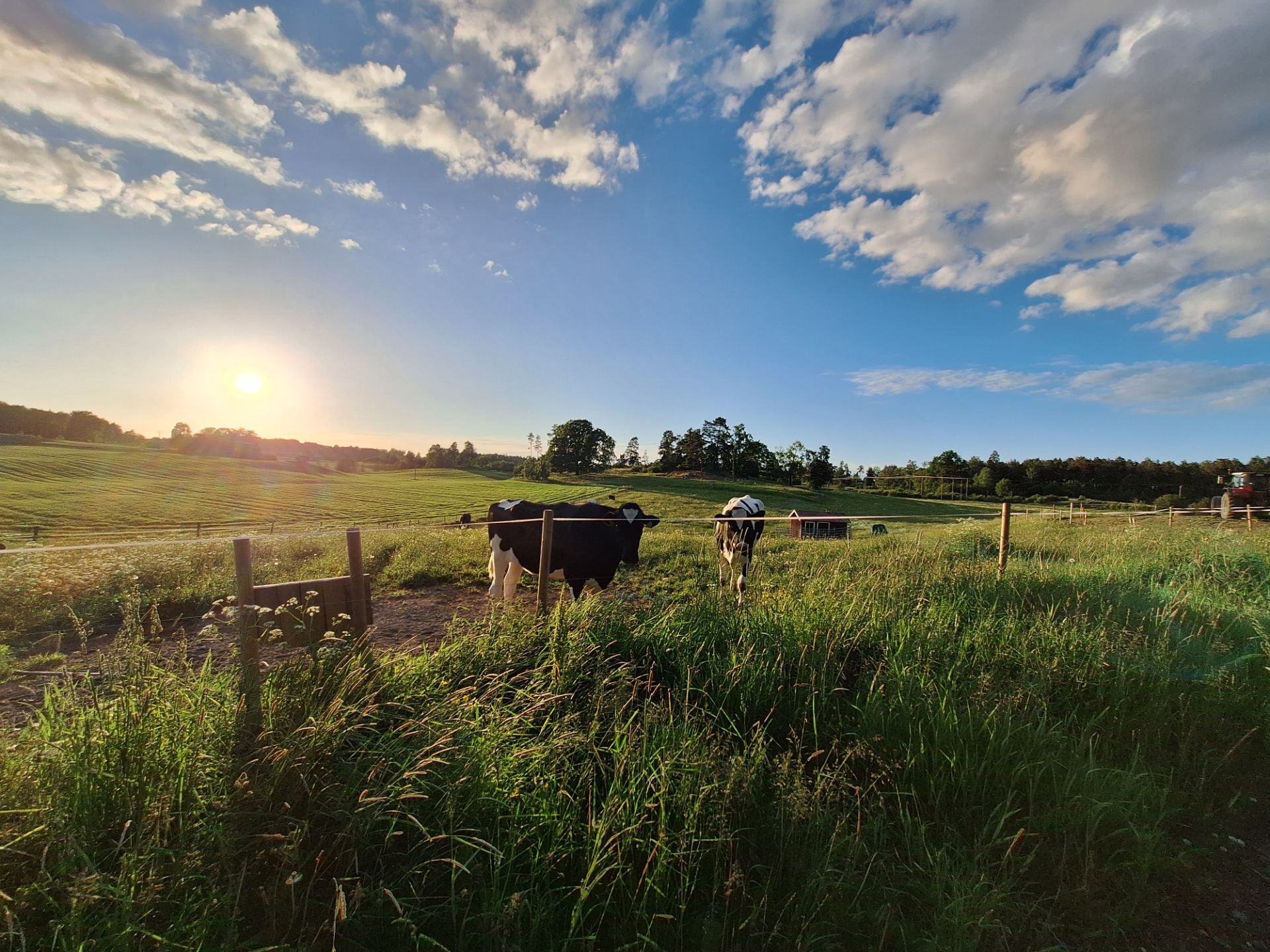 Sommar
