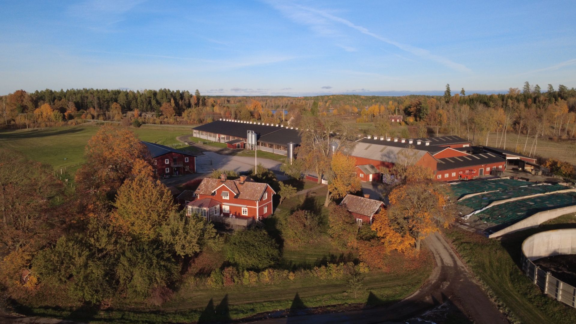 Höst och vildsvinsskador